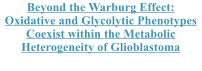 Beyond the Warburg Effect: Oxidative and Glycolytic Phenotypes Coexist within the Metabolic Heterogeneity of Glioblastoma